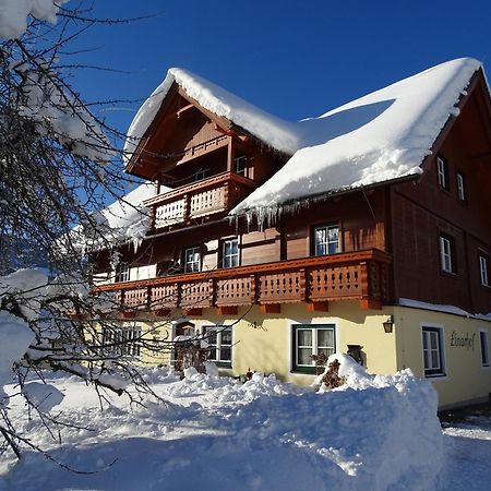 Linarhof Apartment Urlaub Am Bio Bauernhof Хаус-им-Энншталь Экстерьер фото